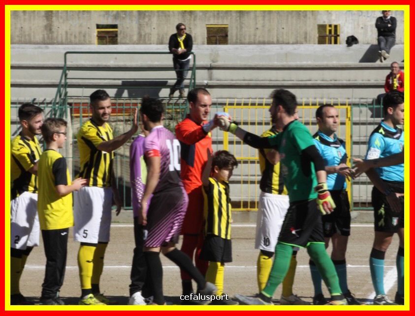 190310 Cephal_Torrenov 040_tn.jpg